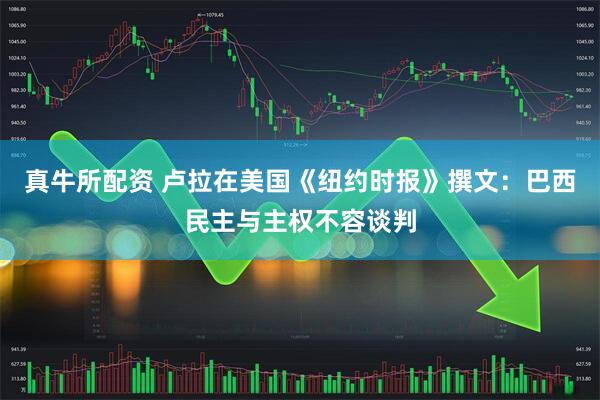 真牛所配资 卢拉在美国《纽约时报》撰文：巴西民主与主权不容谈判