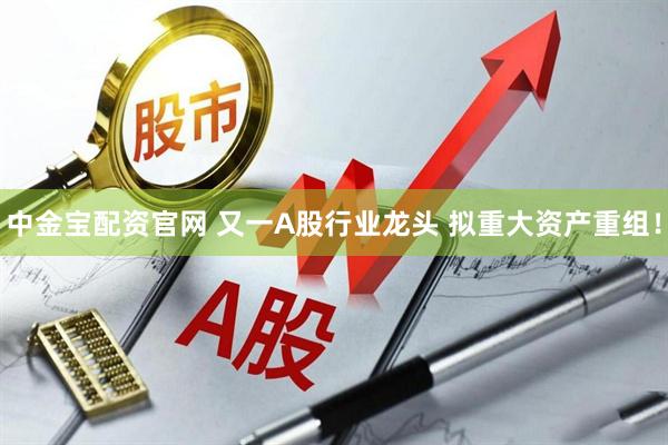 中金宝配资官网 又一A股行业龙头 拟重大资产重组！