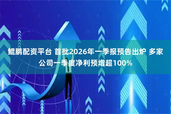 鲲鹏配资平台 首批2026年一季报预告出炉 多家公司一季度净利预增超100%