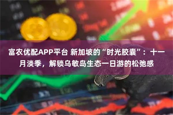 富农优配APP平台 新加坡的“时光胶囊”：十一月淡季，解锁乌敏岛生态一日游的松弛感